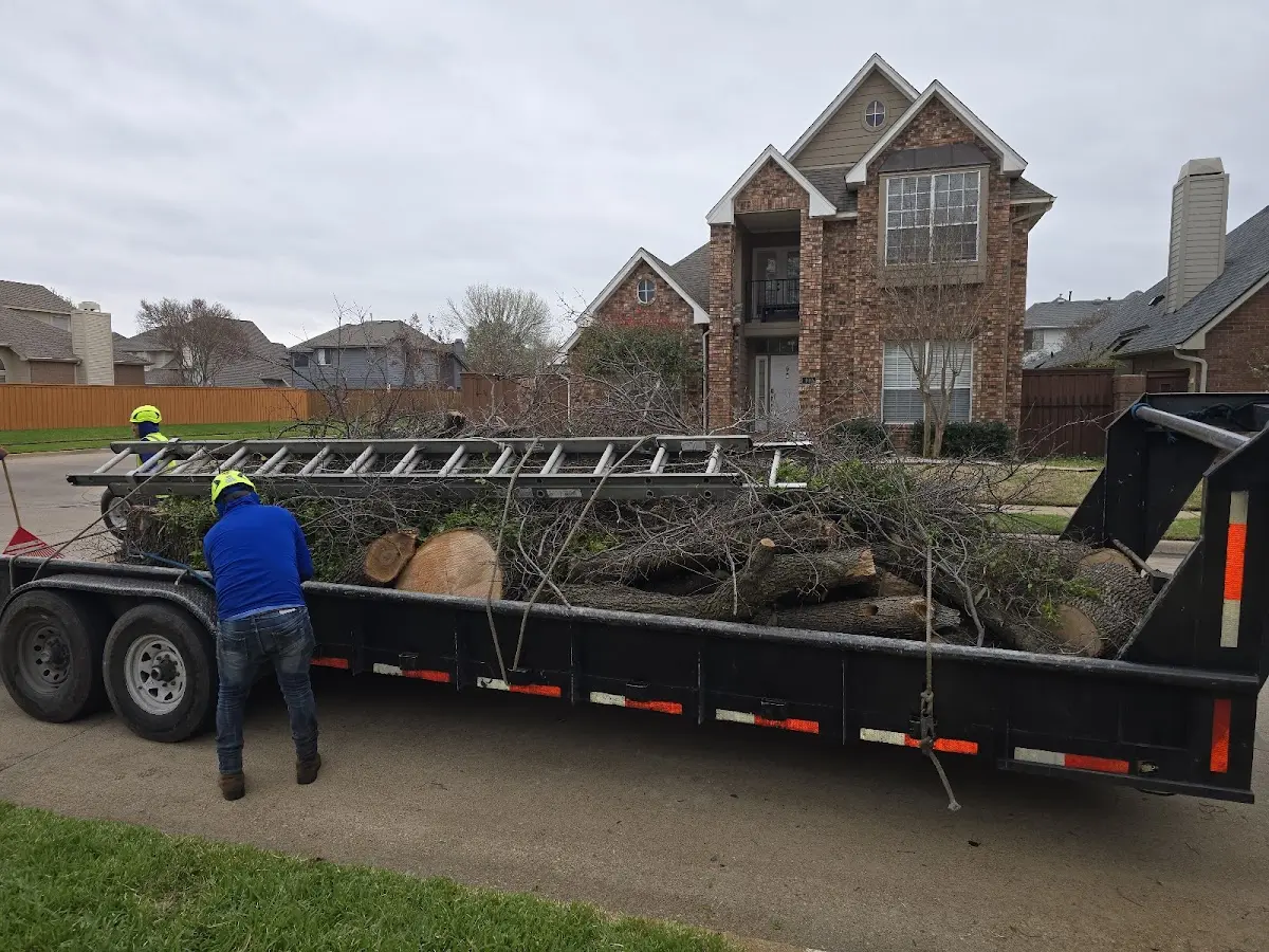 Expert Crown Reduction with proper safety equipment in Thorndale